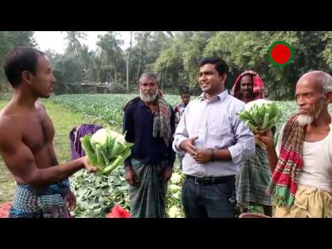 যারা বিষের ভয়ে সবজি খান না তাদের জন্য- নিরাপদ ফসল উৎপাদনকারী সফল কৃষকের গল্প