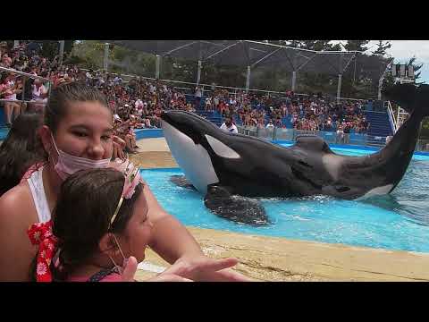 Show de Orcas y Delfines. Temporada 2022. Mundo Marino. Sea World Argentina. 1ra fila