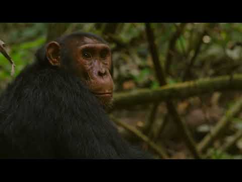 Volcanoes Safaris Kyambura Gorge Lodge loop