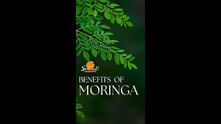 Moringa Capsules | Superfood