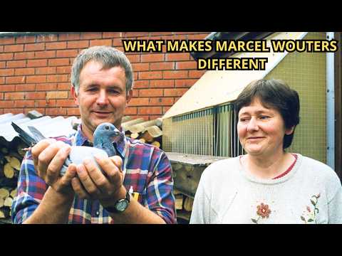 Marcel Wouters | The Legendary Belgian Master of Racing Pigeons 🕊️