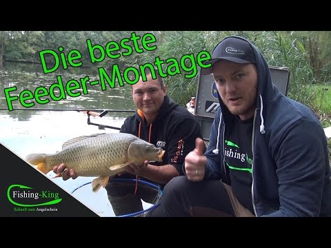 Die BESTE & einfachste Feederangel-Montage | Tutorial vom Feeder-Weltmeister | www.fishing-king.de
