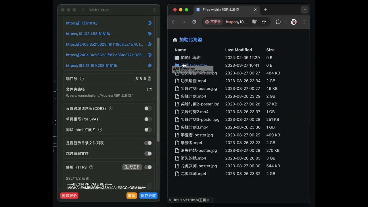Web Serve demo video