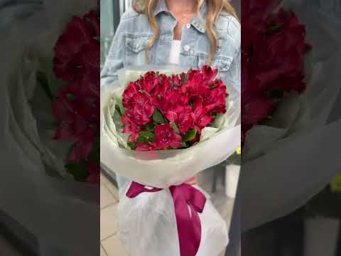 Видео: 9 красных альстромерий