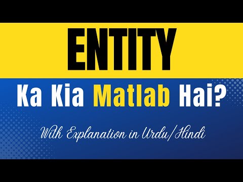 Entity Meaning in Urdu |'Entity Ka Kia Matlab Hota Hai'| Urdu/Hindi Explanation Included