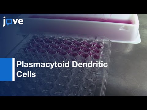 Assessing Innate Sensing: HIV-1 Infected CD4 T Cells (Dendritic Cells)