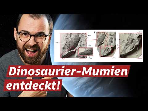 You missed these crazy science news stories in 2025.