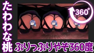 ぷりぷりVR【360°動画】