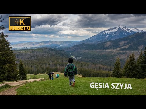 Tatry 4K - Gęsia Szyja. Brzeziny, Psia Trawka, Waksmundzka Rówień, Rusinowa Polana, Palenica.