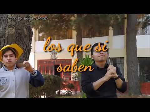 Tipos de seminaristas en el trabajo 🤠😎