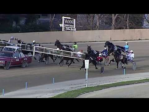 Aversa trotto 12 Febbraio 2020 - 3° Corsa