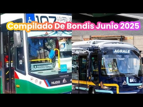 Compilado de Bondis Junio 2025 #bondis #colectivos #bus #buses #buenosaires #argentina #ugarte