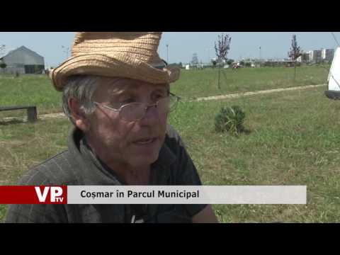 Coșmar în Parcul Municipal