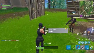 【フォートナイト】高みを目指す