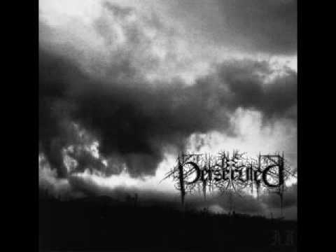 Be Persecuted - Painful Assemble | Chinese Black Metal