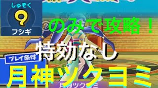 【特効なし&フシギのみ】中級者向け！フシギ染めパーティで月神ツクヨミを攻略！！