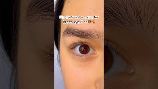 What color are your eyes? 👀🐻🍂 #fypシ゚ #funny #browneyes #trend #shorts #skit #viral