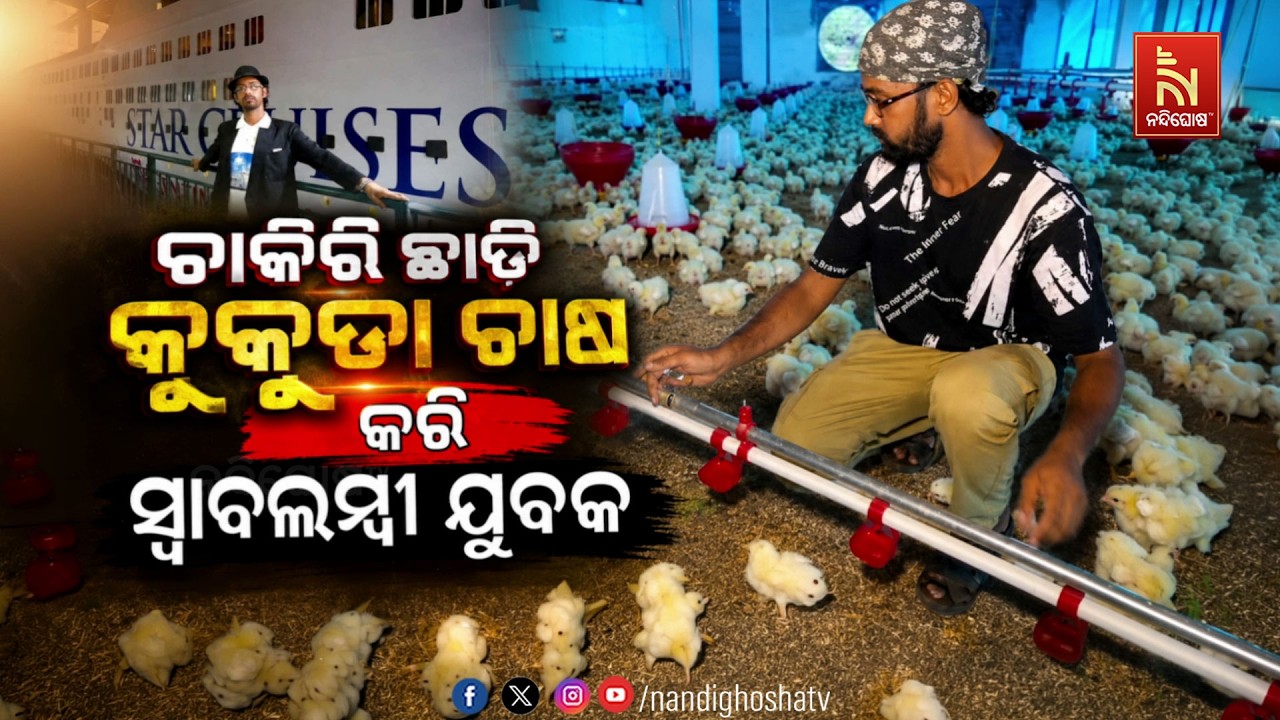 🔴Live | ଚାକିରି ଛାଡି କୁକୁଡା ଚାଷ କରି ସ୍ବାବଲମ୍ବୀ ଯୁବକ