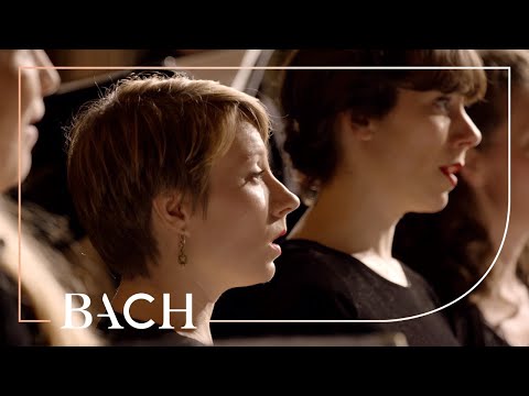 Bach - Chorale O Traurigkeit, o Herzeleid BWV 404 - Prégardien | Netherlands Bach Society