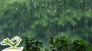 פדר ב. הלנד - יום חמישי (גרסת גשם) | מוזיקת פסנתר רכה לשינה והרפיה