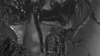 Peace Music Video