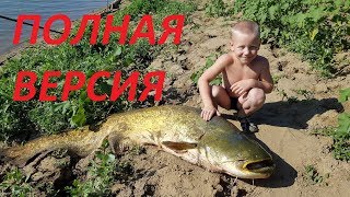 Ссылка