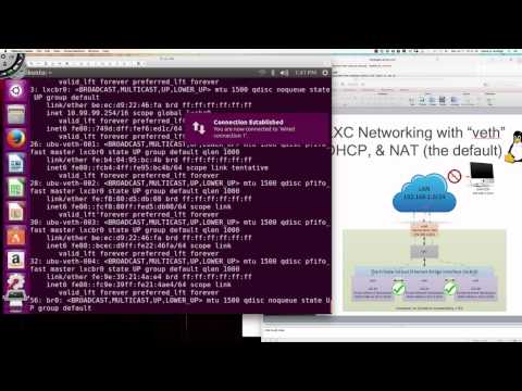 Linux Containers (LXC) Networking Deep Dive - Video 003b - LXC veth Adapters w/Bridge Int. (br0)