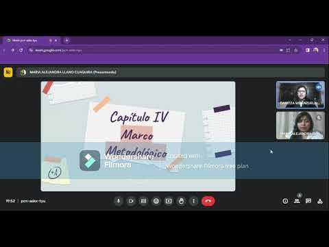 PRE DEFENSA Danitza y Alejandra. Taller de Tesis III