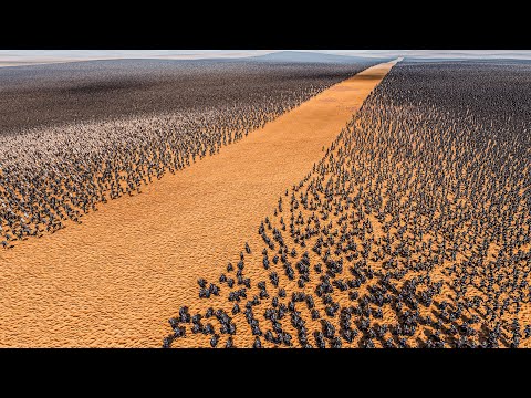 500.000 PERSIANS vs 500.000 MONGOLIAN SOLDIERS - Ultimate Epic Battle Simulator 2 UEBS 2