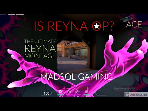 THE ULTIMATE REYNA MONTAGE Valorant! Is Reyna OP? MadSoL Gaming