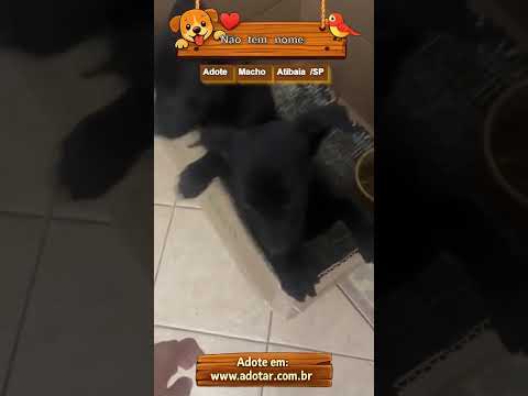 Vídeo de Não tem nome