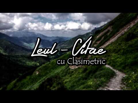 Leul cu Clasimetric - Vitae