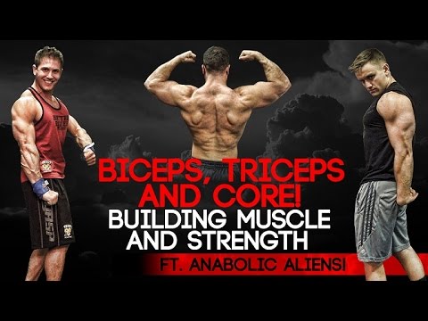 Muscular Strenght Title