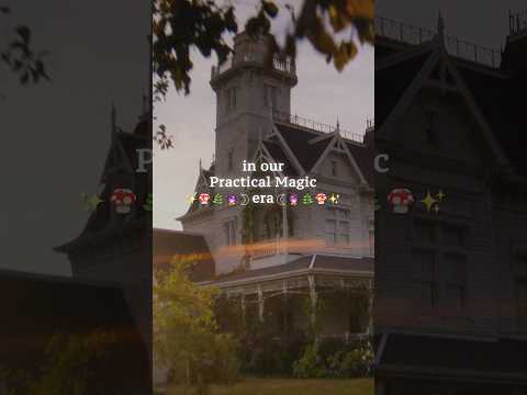 Practical Magic 2 — In our Practical Magic Era. Who’s with us?
