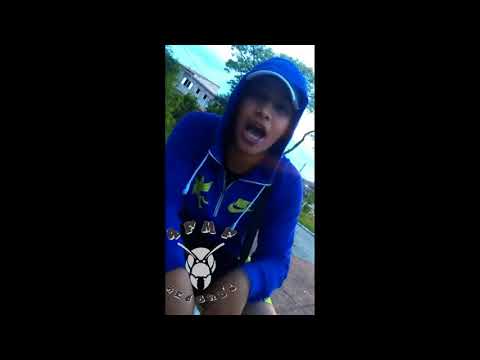 MC HiQ Do verde sativa!  (Previa de 2018)