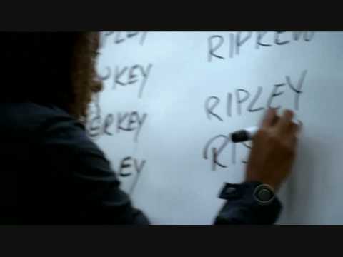 Lotto Fever - Shoes!