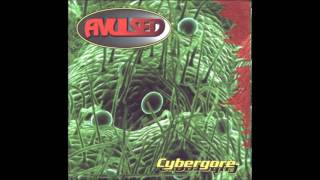Avulsed - Hash Perversions