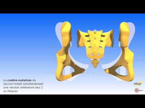 comment soulager symphyse pubienne