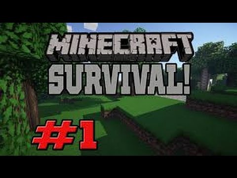minecraft-SADE-survival bölüm 1