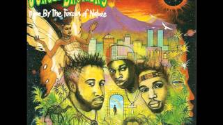 Jungle Brothers - Doin&#39; Our Own Dang