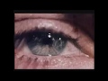 Spiritualized - Anyway That You Want Me