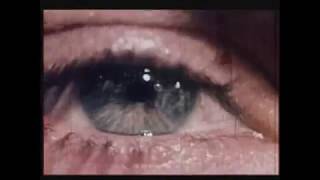 Spiritualized - Anyway That You Want Me