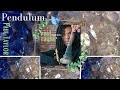Pendulum- Paul Taylor from the album Hypnotic#ポールテイラー