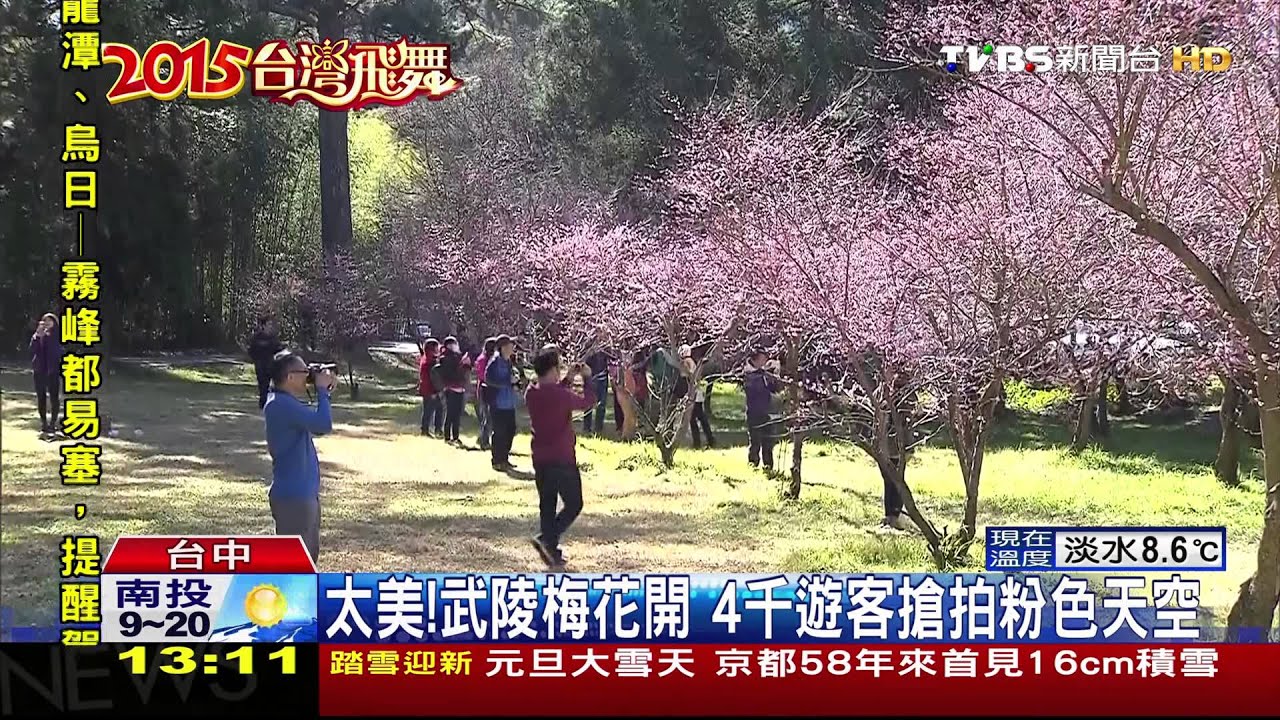 爆冷!強烈大陸冷氣團發威 武陵清晨0度