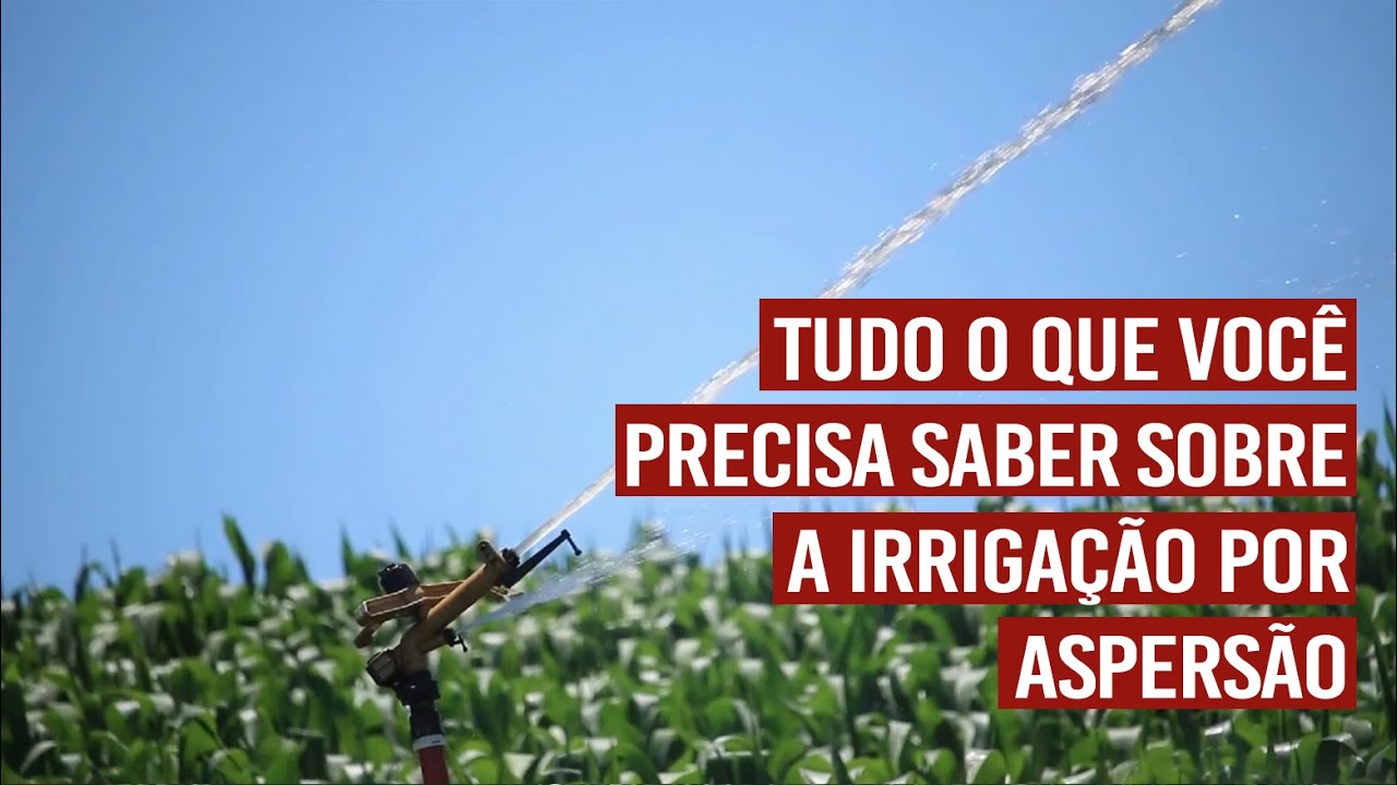Tudo o que você precisa saber sobre a irrigação por aspersão