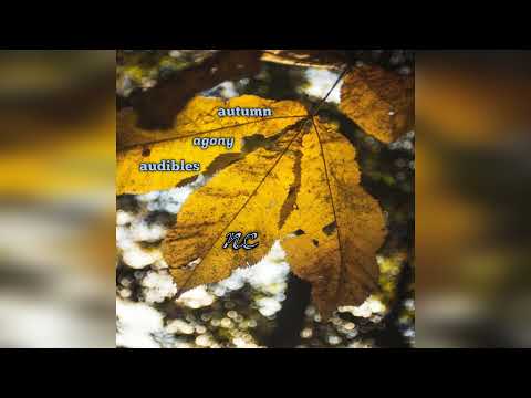 nc --  "autumn agony audibles" (full instrumental beat tape)