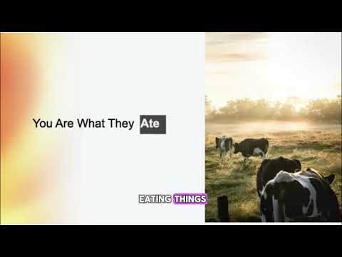 Build Muscle, Live Longer_ The Power of Protein!