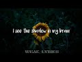 5 Seconds of Summer Wildflower Lyrics 5 Seconds of Summer Wildflower Lyrics