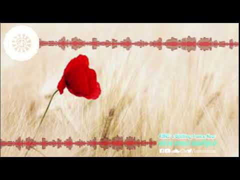 UPLIFTING TRANCE MIX 261 [December 2019] I KUNO´s Uplifting Trance Hour 🎵 I EOYC part 1 I best of