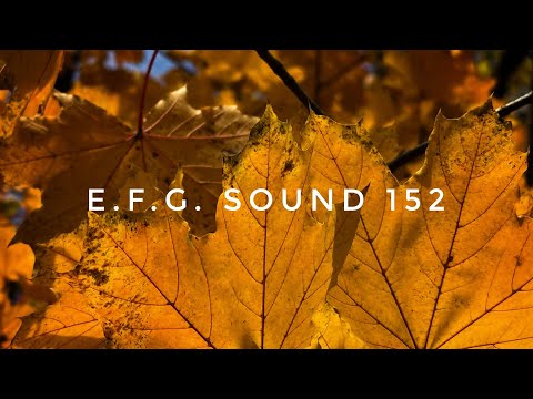 E.F.G. Sound 152 | Organic, Deep & Melodic House Mix | Autumn Vibes 2025